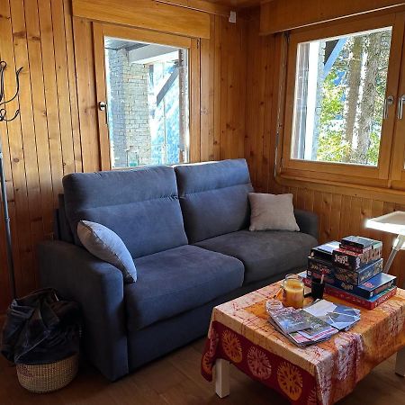 Chalet Edelweiss A Saint-Martin, Val D'Herens מראה חיצוני תמונה