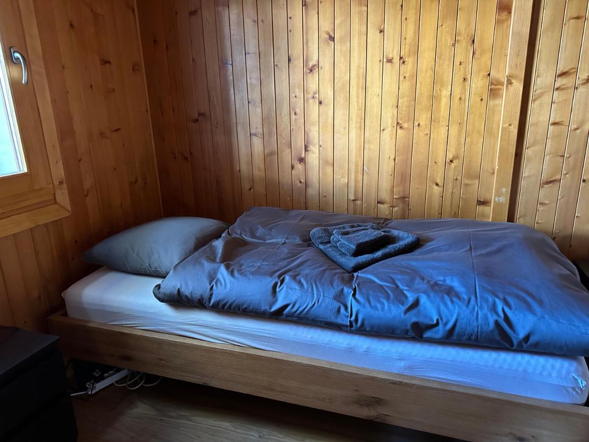 Chalet Edelweiss A Saint-Martin, Val D'Herens מראה חיצוני תמונה